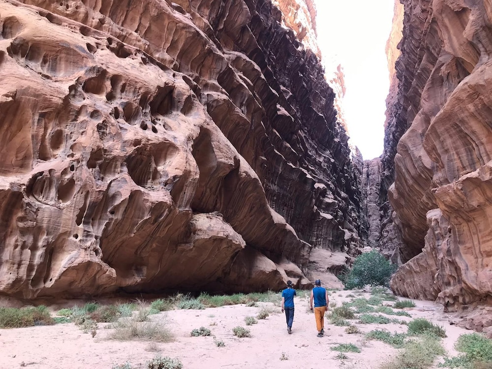 Wadi Rum Firecamp