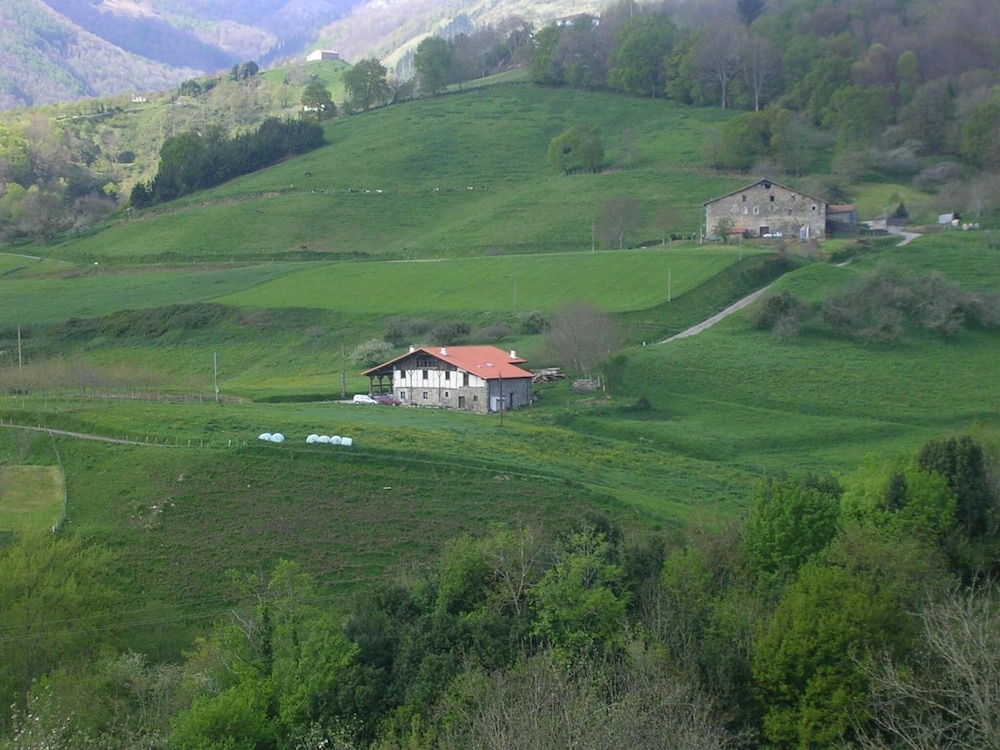 Photo 10