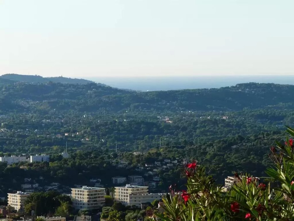 Les Palmiers Grasse view 3