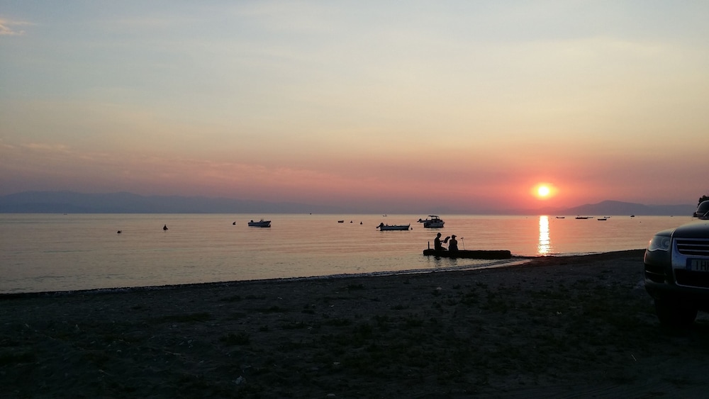 Photo 40