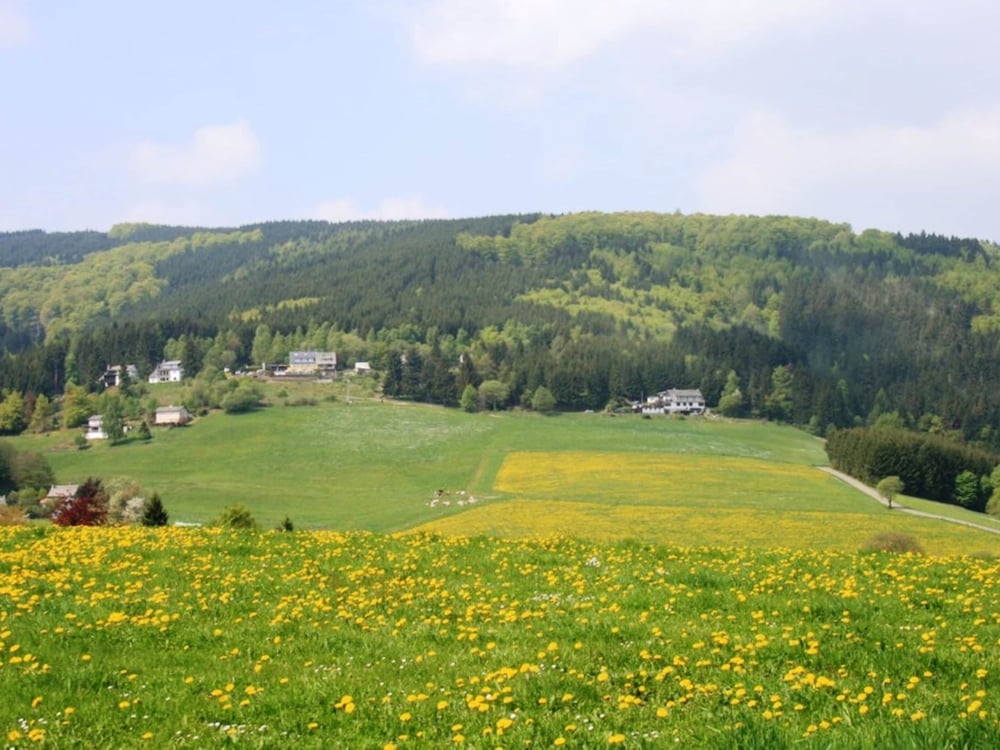 Holiday Home in Willingen Near Ski Area