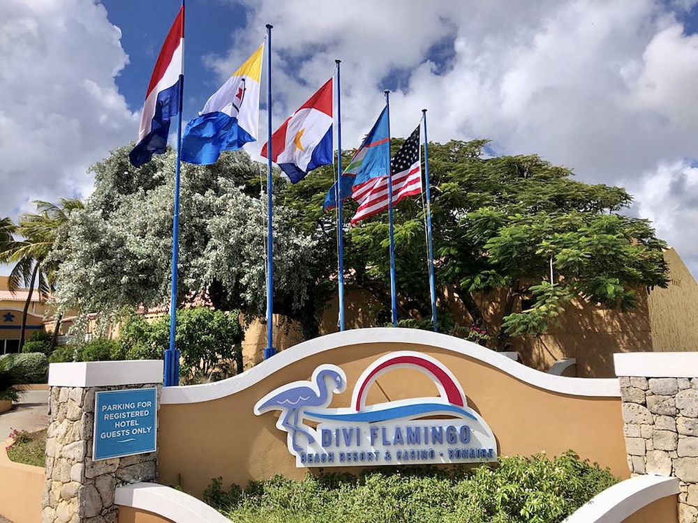 Divi Flamingo Beach Resort & Casino - Photo 47