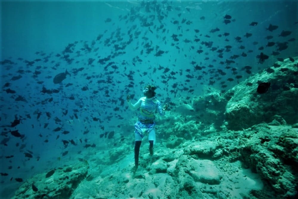 Photo 14