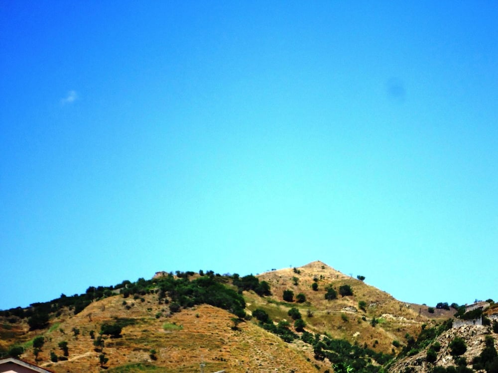 Photo 40