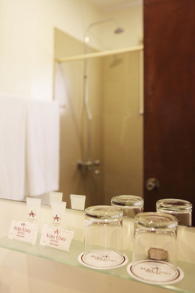 Cebu Vacations - Alba Uno Hotel - Property Image 3