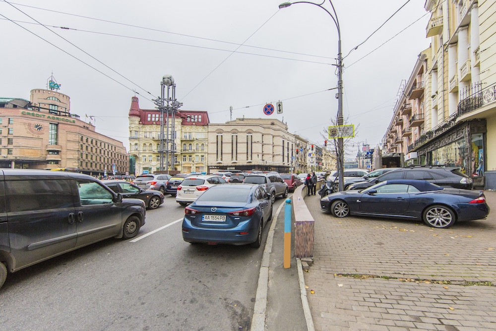 Lovely Bright Apartment V. Vasilkivska view 5