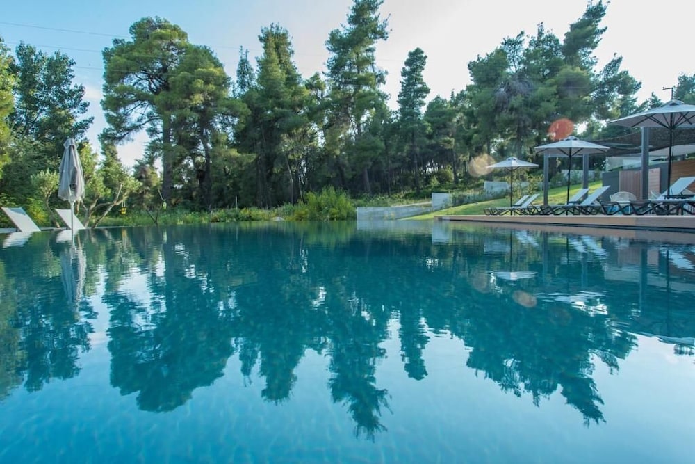 Photo 33