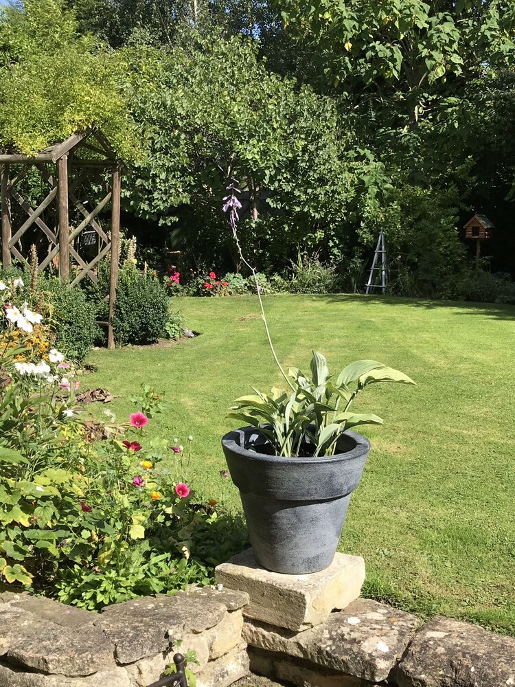 Pigeon House Cottage B&B