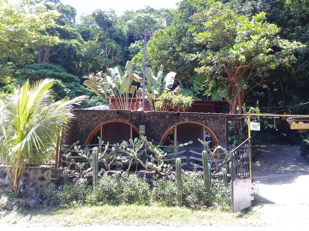 Photo 47