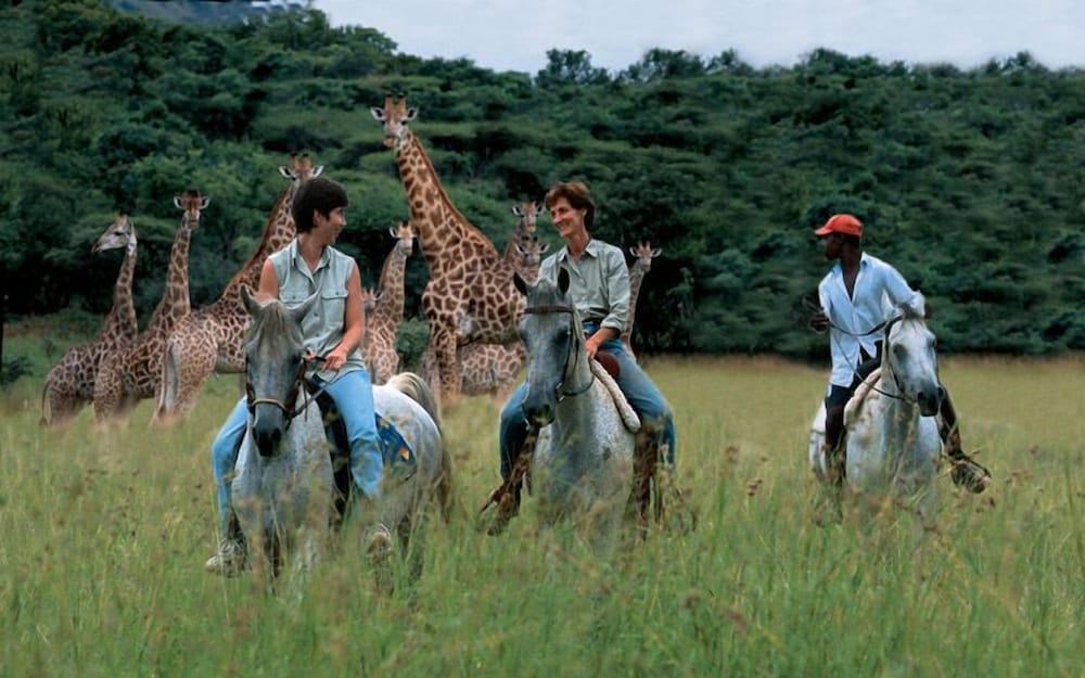 Pakamisa Private Game Reserve