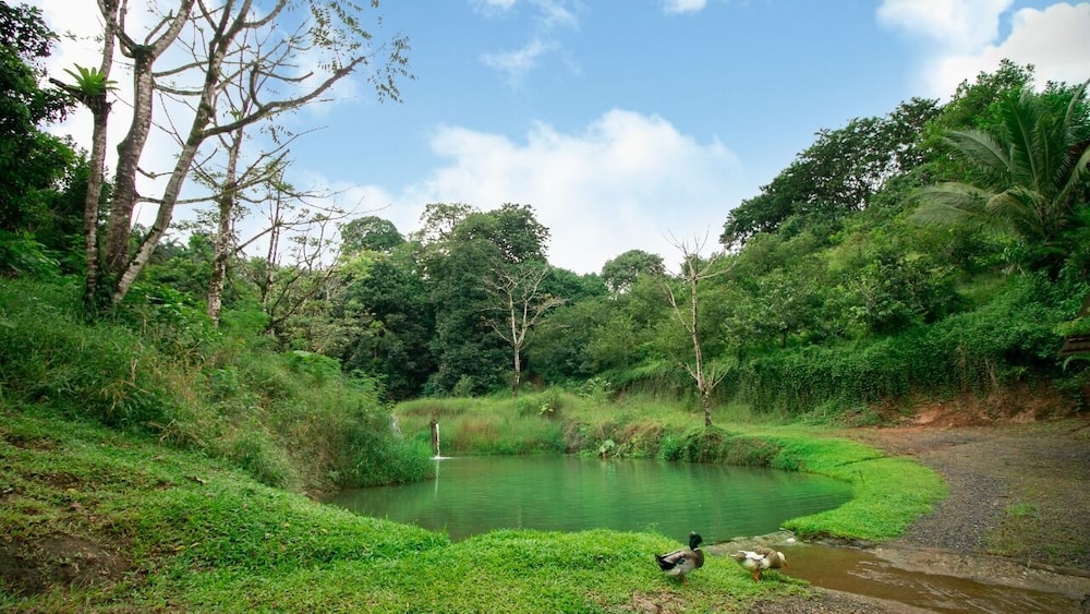 Cabañas del Lago