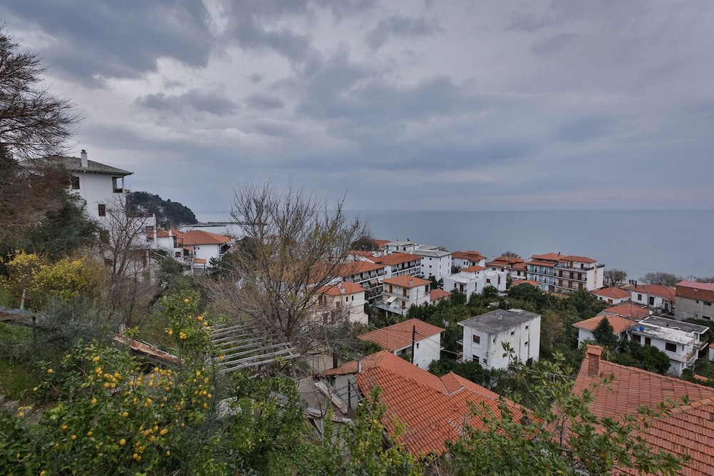 Photo 8
