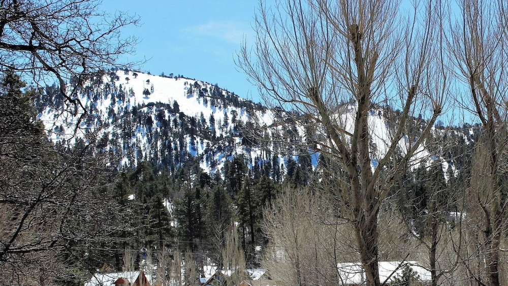 Bear Mt. Retreat