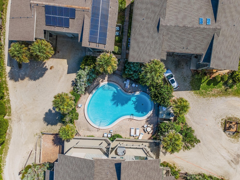 Sea Dunes Green Turtle A3