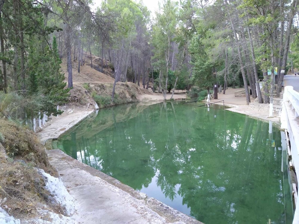 Photo 21