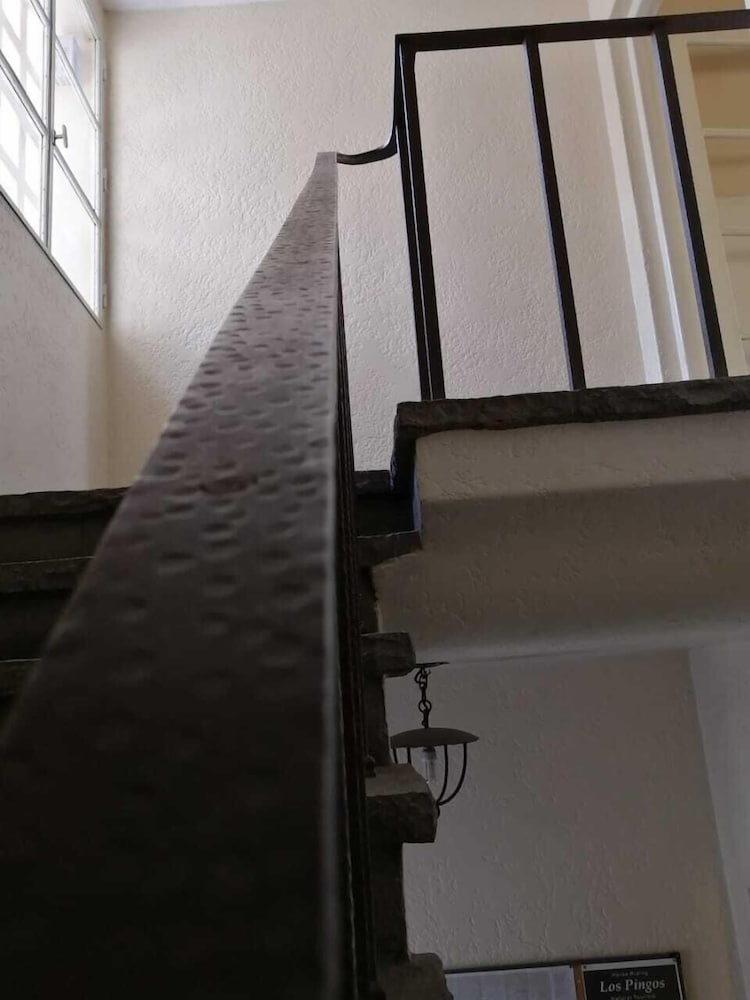 Alamo Hostel & Suites