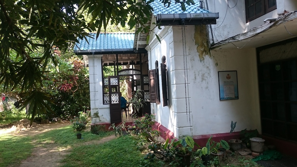 Photo 46