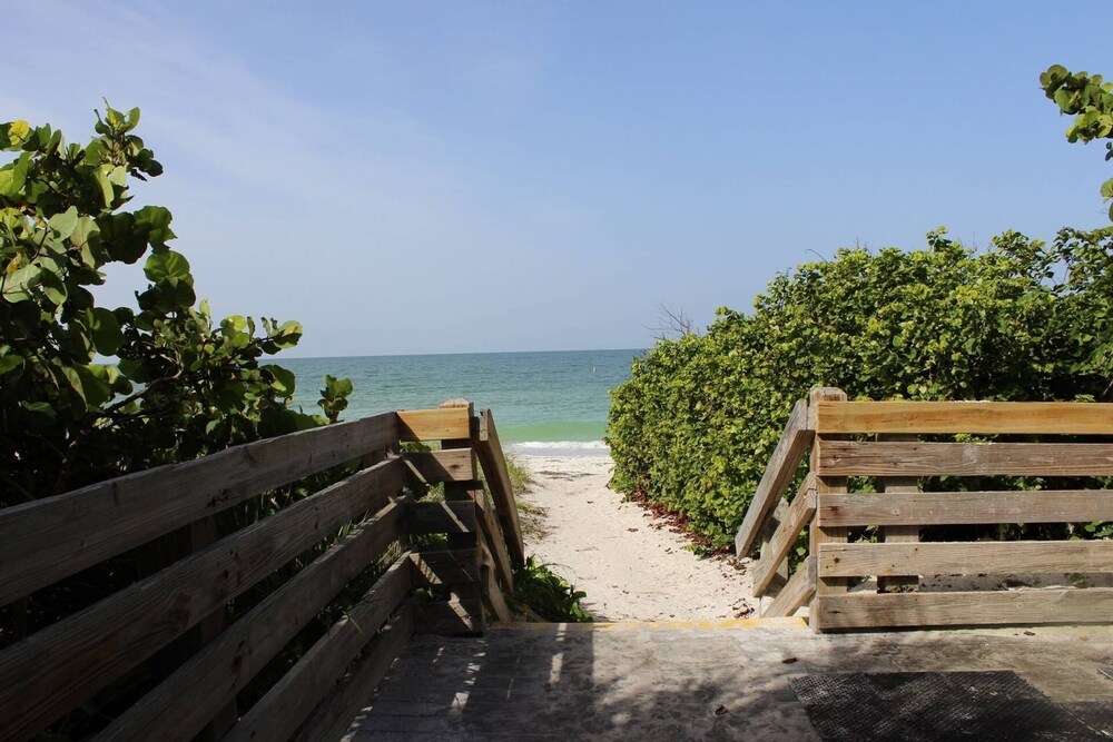 Hidden Treasure on Lido Key