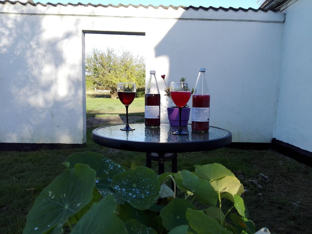 Møn Økologisk B&B