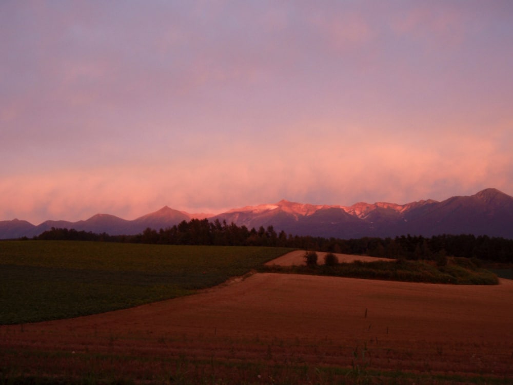 Pension Landscape Furano