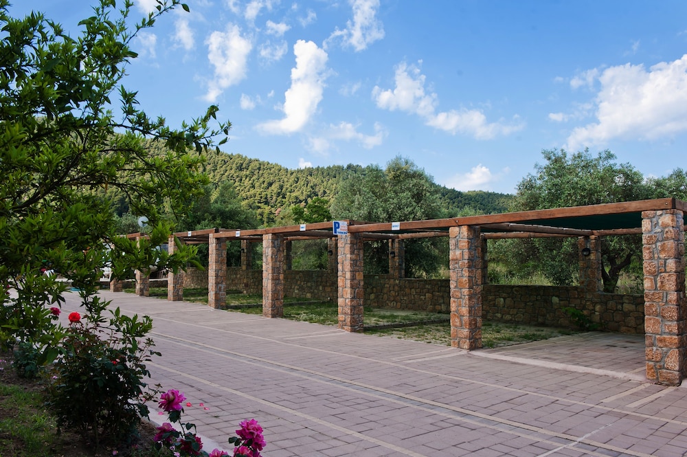 Sofia's House