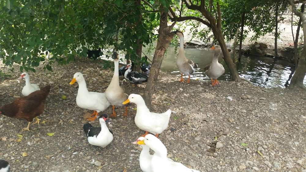 Kiskeya Guest House