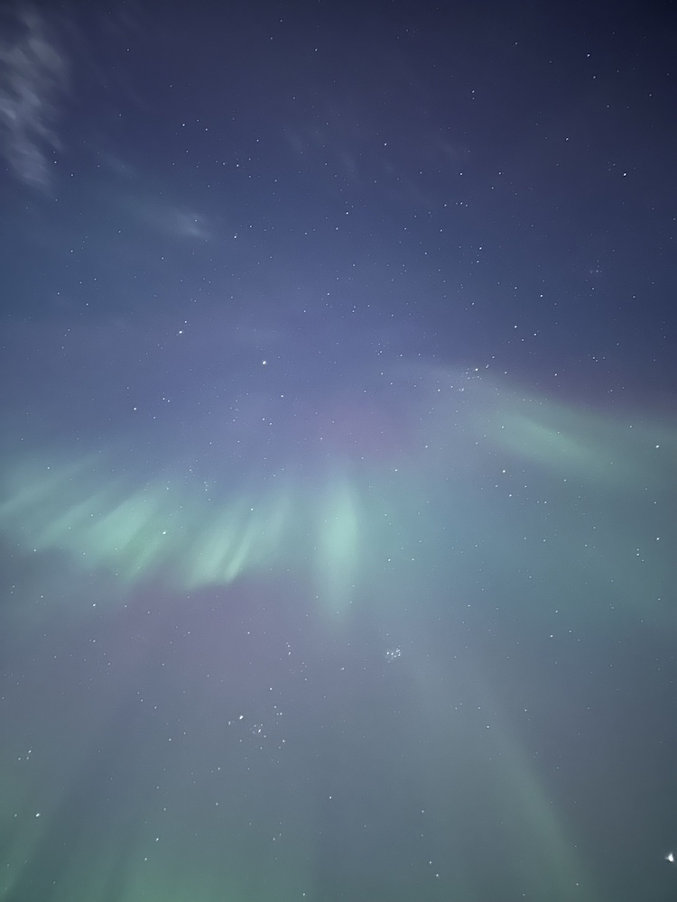 Fairbanks Vacations - Moose Tracks B  B - Property Image 4