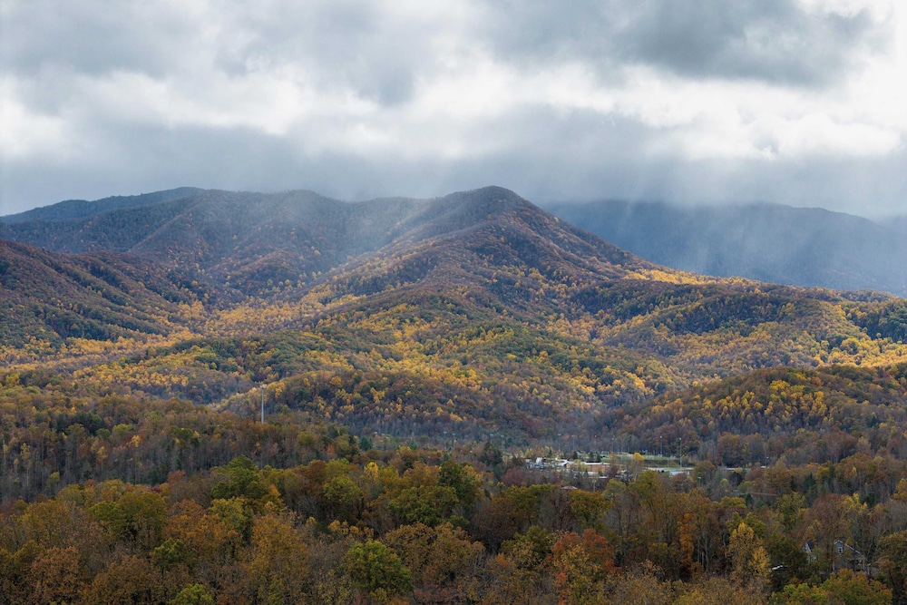 Artful Craftsman Hot Tub, Firepit, and Pond Gatlinburg + National Parks
