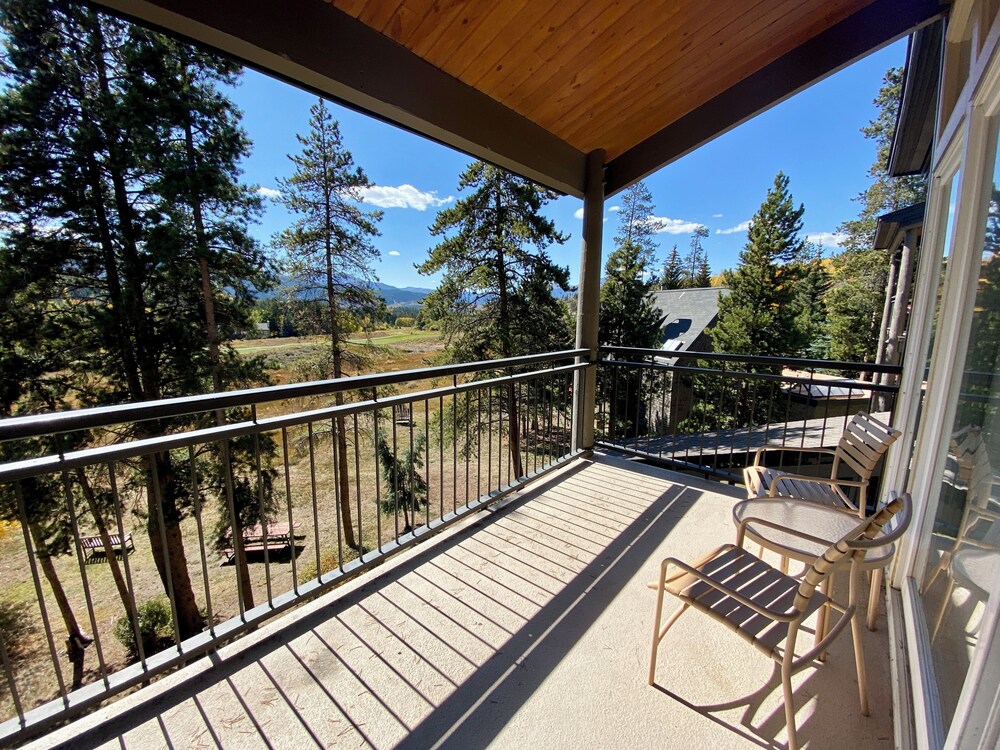 Pines 2169