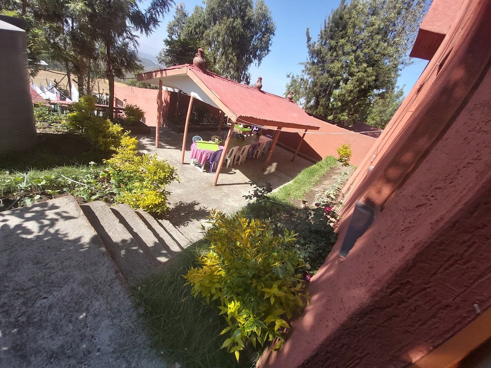 Photo 42