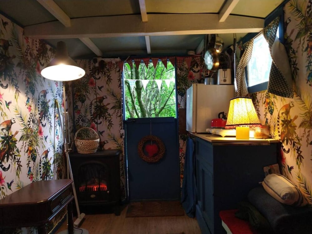 Pilgrims Shepherd's Hut - Goosewell Glynn Glamping view 5