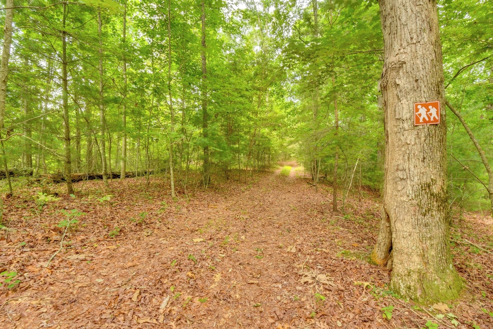 6 Mi to Helen: Romantic Georgia Cottage Hideaway!