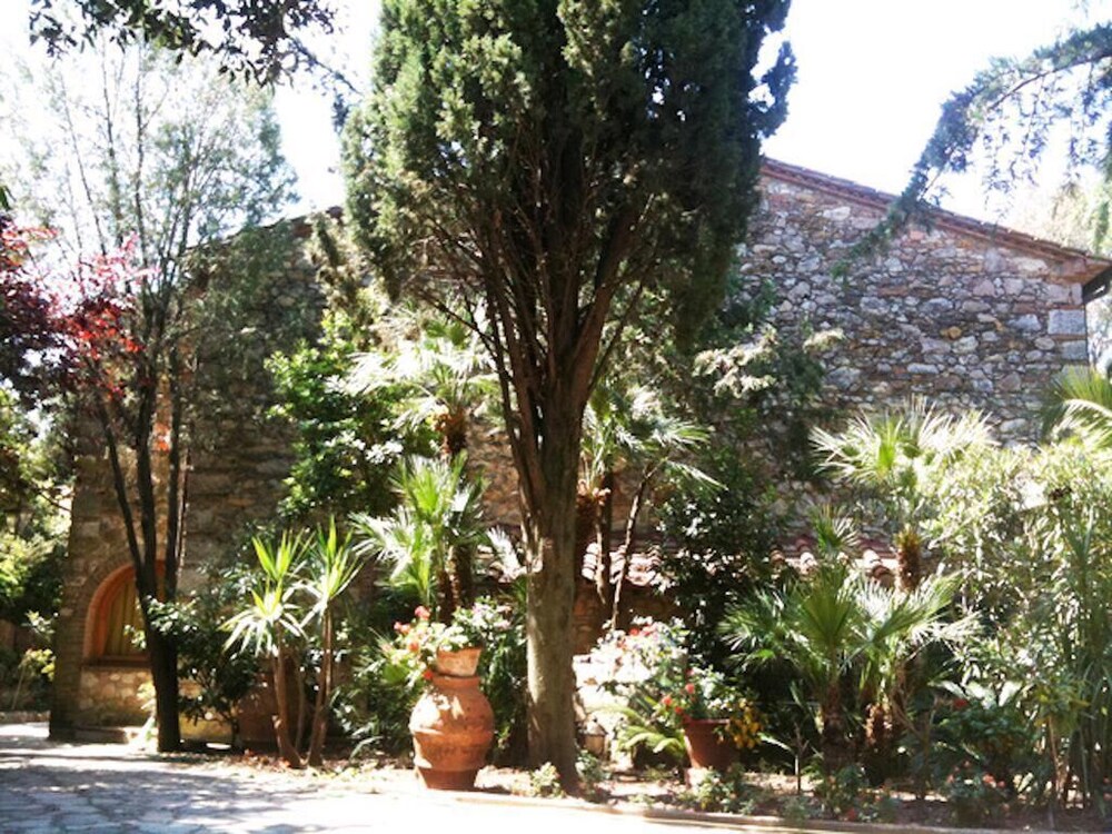 Photo 8