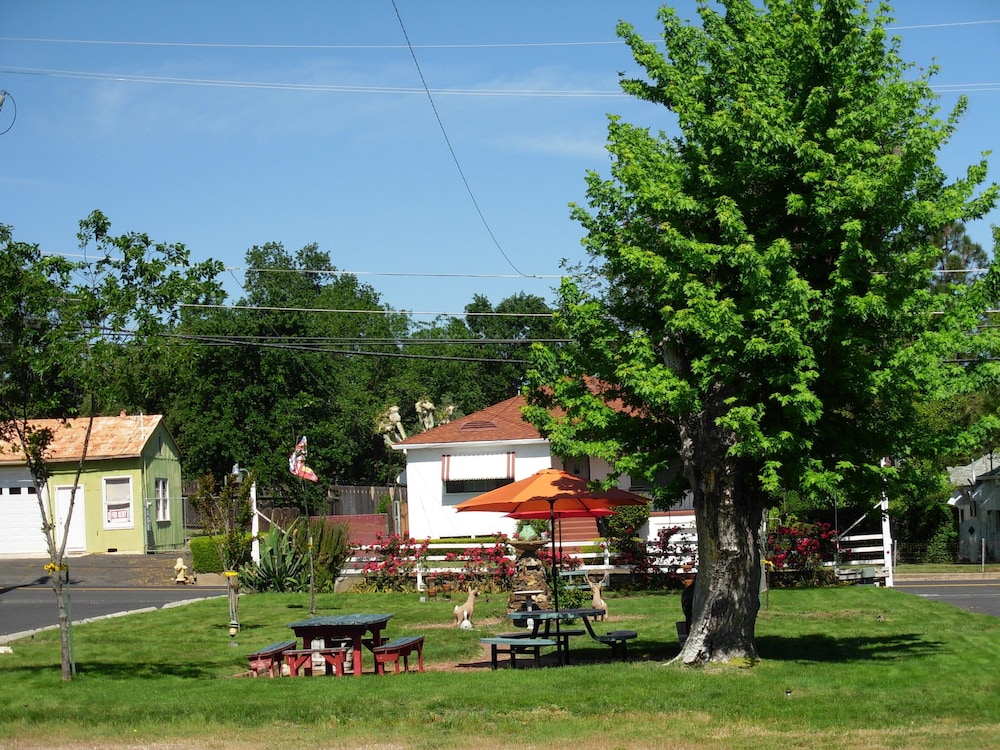 Photo 48