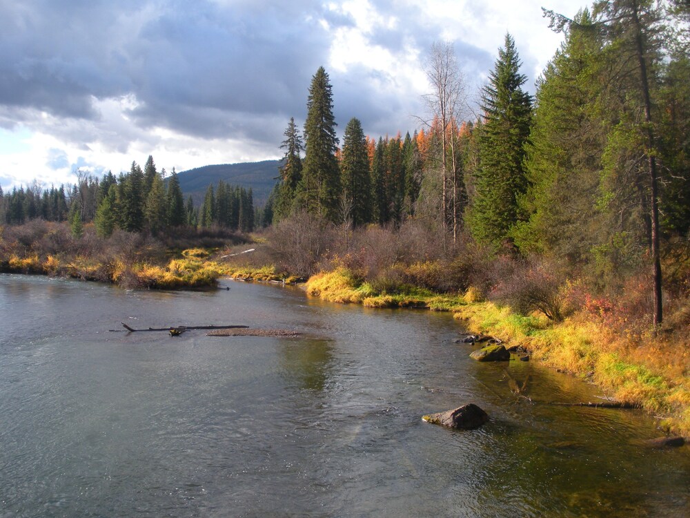 Laughing Horse Lodge
