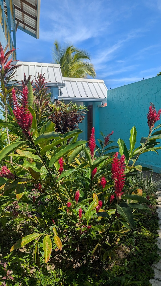 Pachamama Bay Club