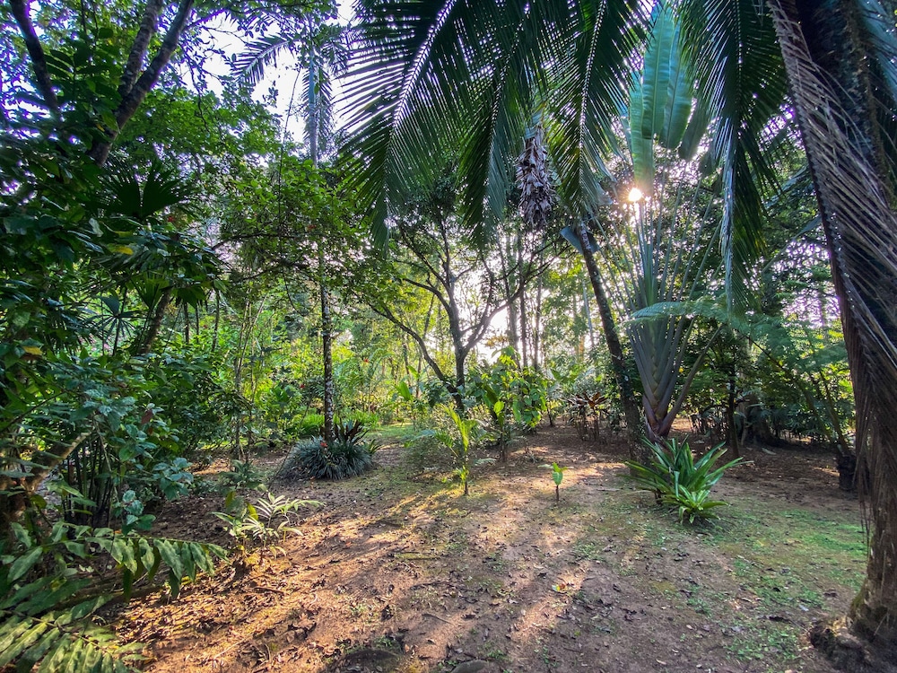 La Finca Chica