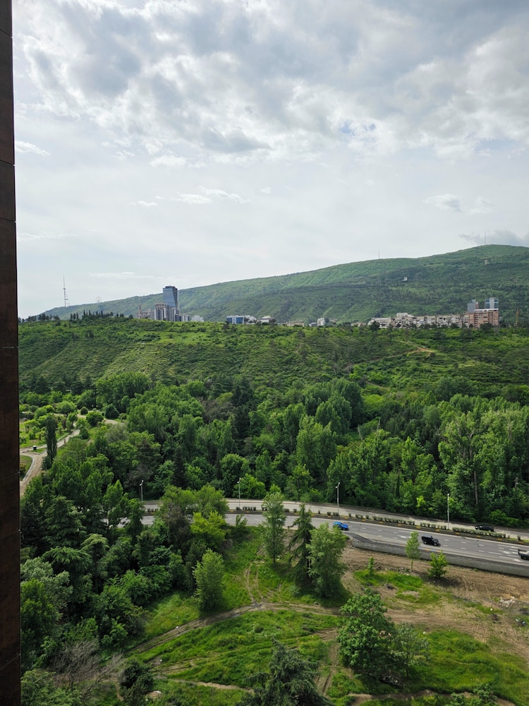 Archi Tamarashvili