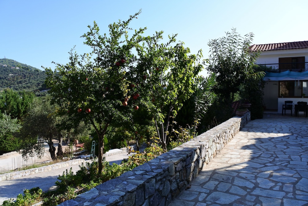 Photo 8