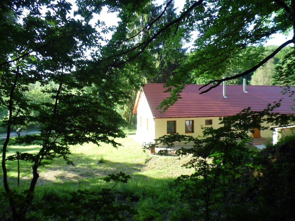 Photo 21