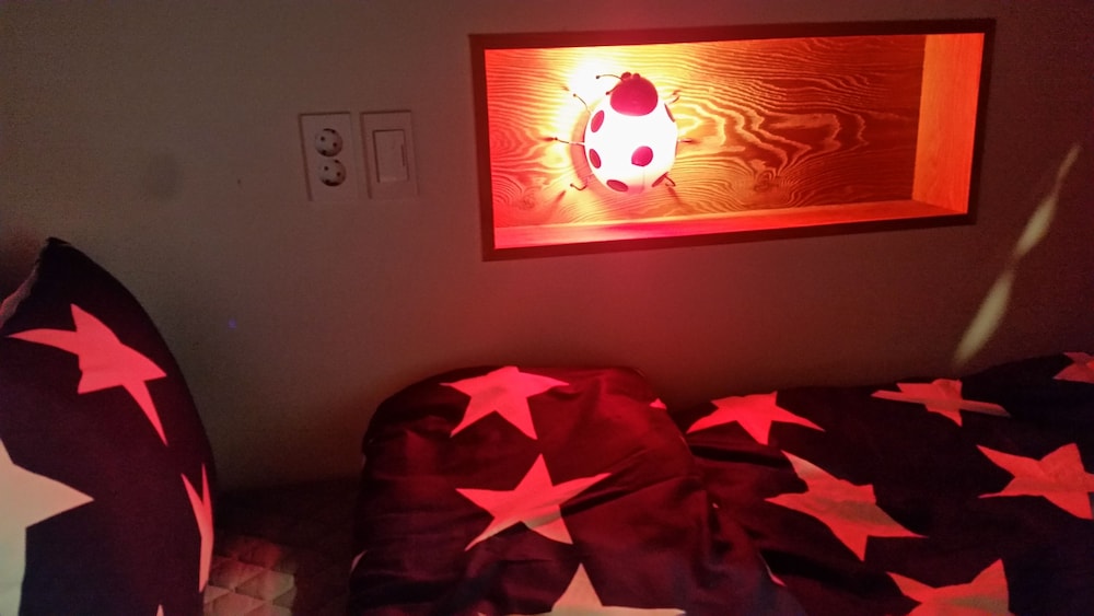 Bori Guesthouse - Hostel view 5