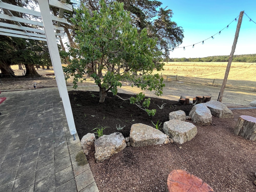 Icena Farm Accommodation