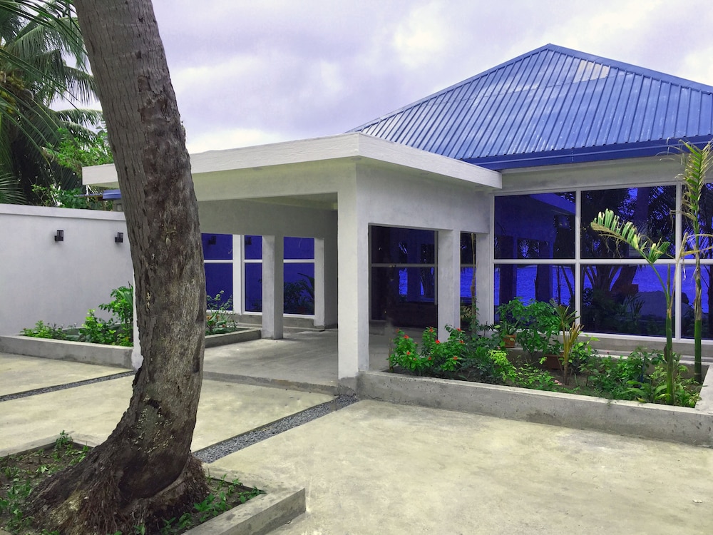 Sea Star Diving photo 2