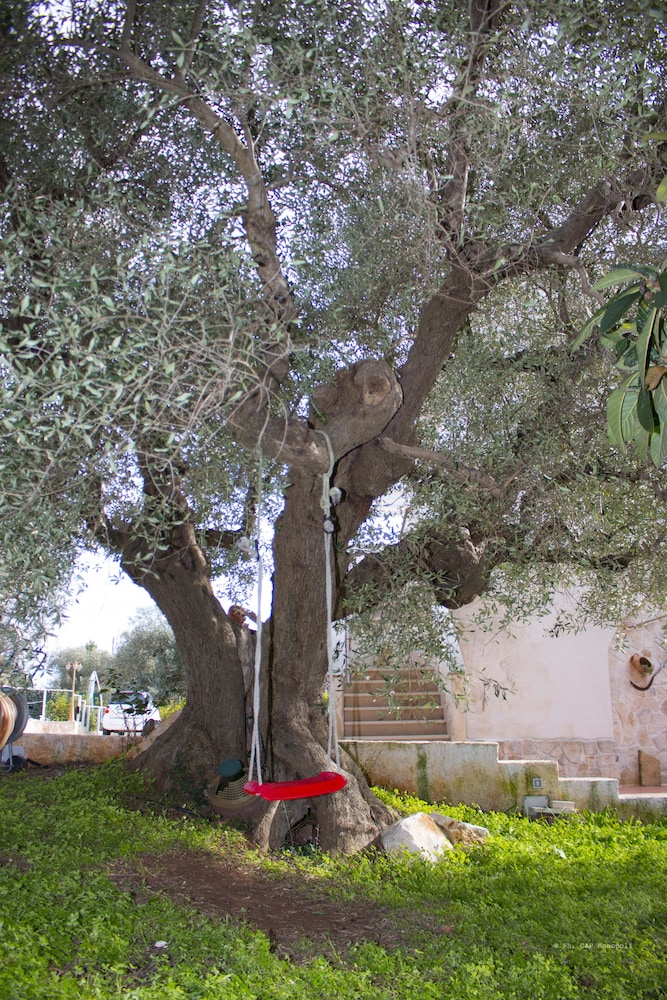 Villa Nonna Maria