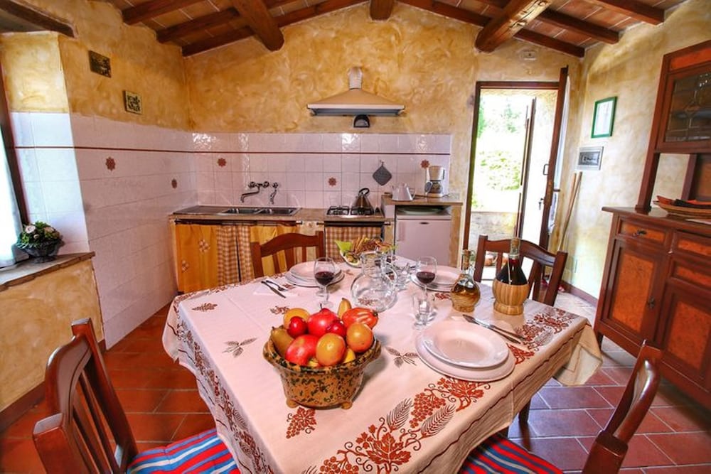 Bellavista farm of Quercini Maurizio