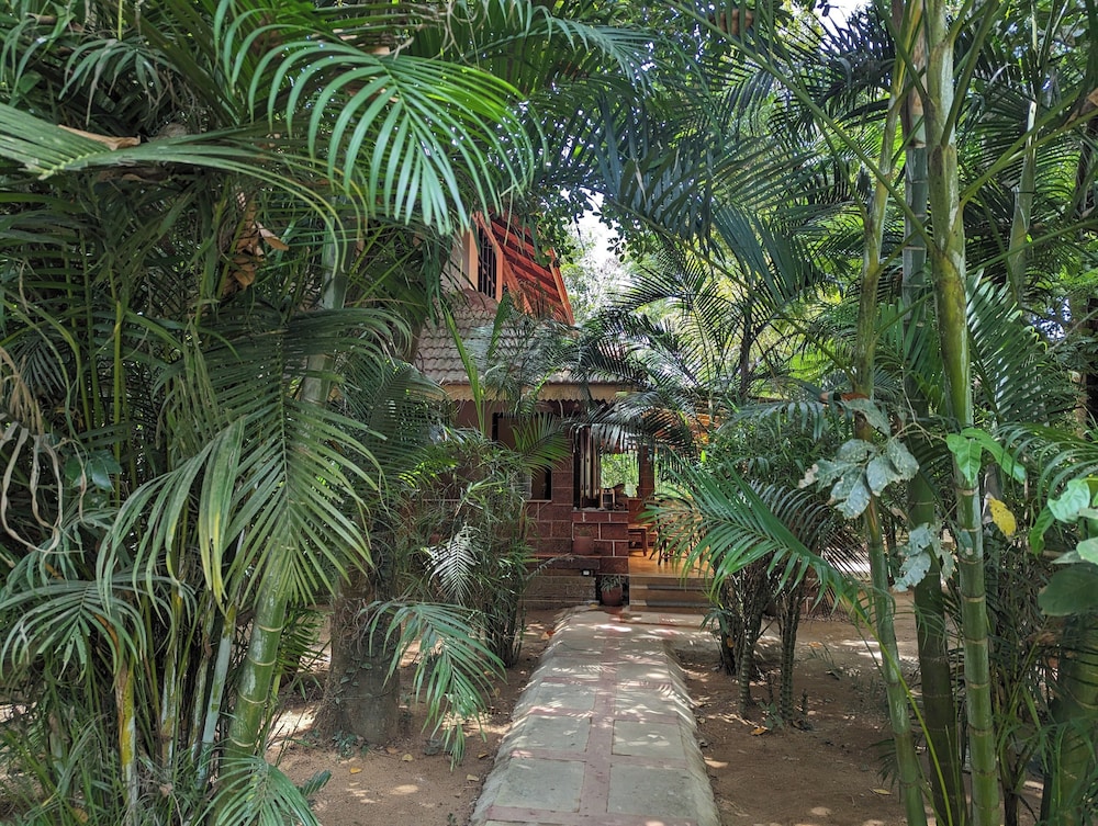 Neelambari Ecotourism Thrissur Aratupuzh
