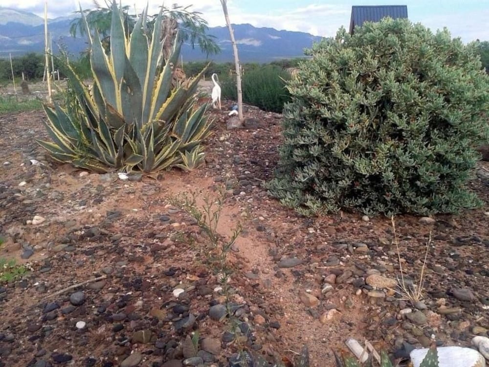 Cabañas Los Elementos