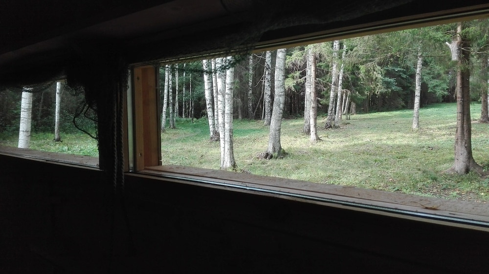 Bear Watching and Photography Hide