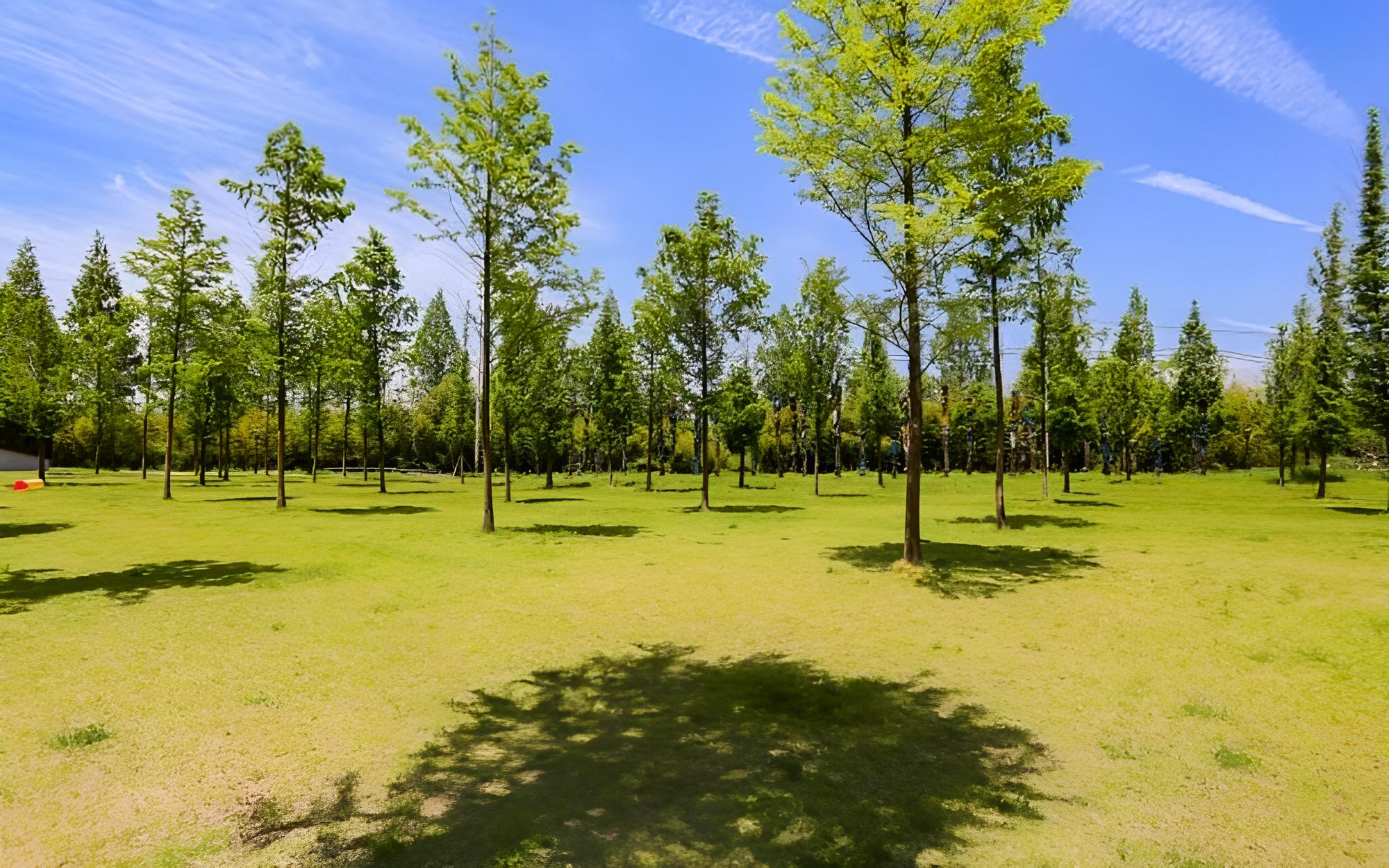 Damyang Lara 345 Pension view 5