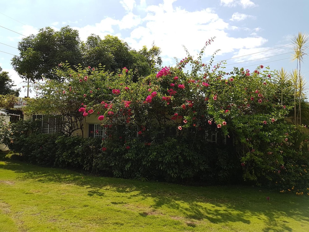 Kingston Cottage